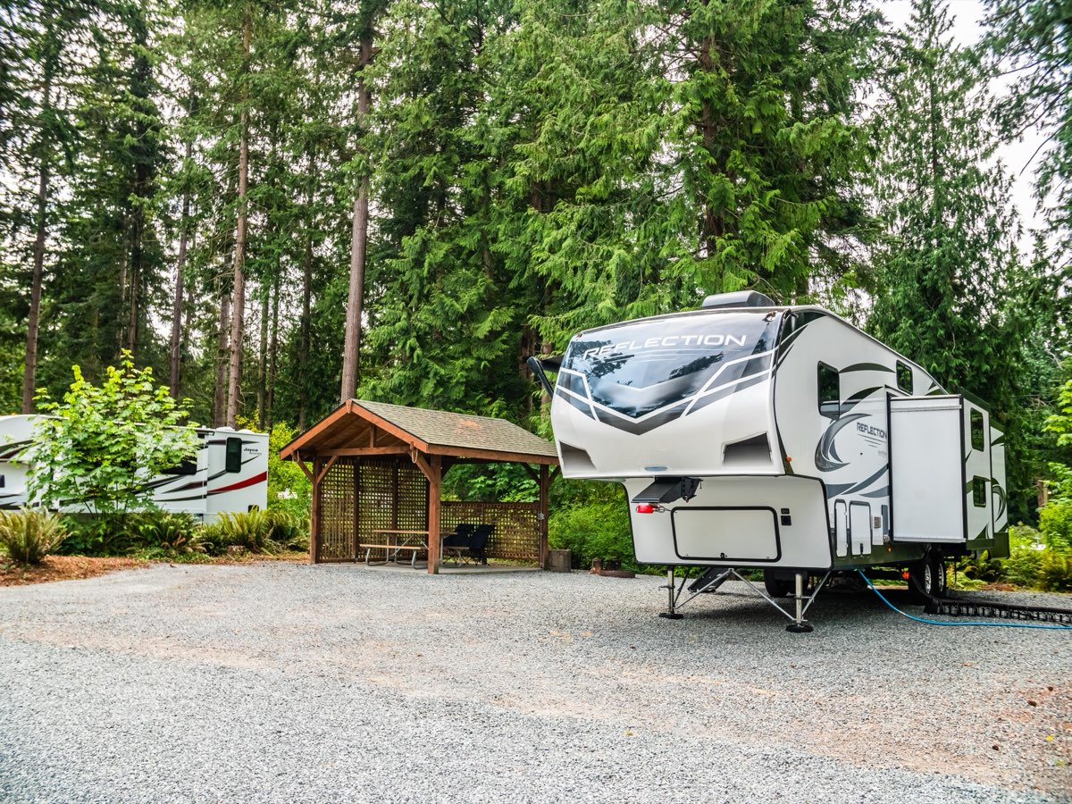 Sunlit RV site with towering trees