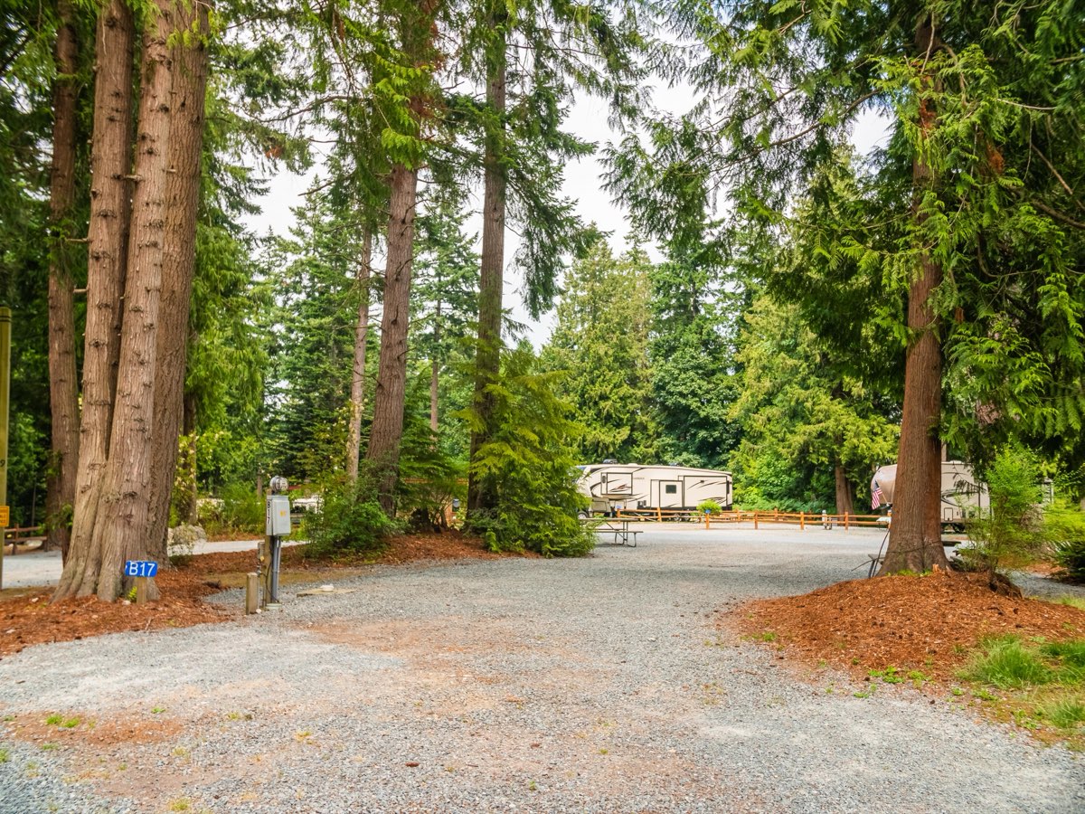 Wooded campground loop
