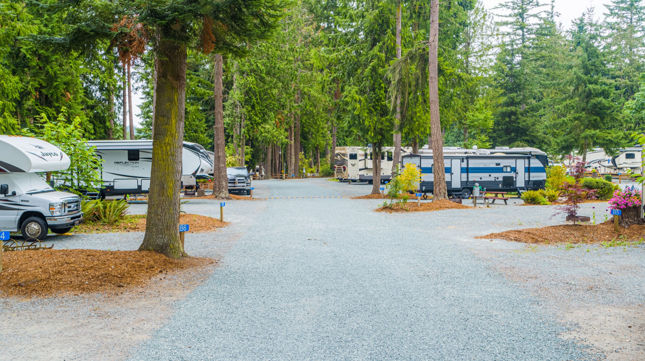 Gravel lanes winding between towering firs and full-hookup RV sites at Pioneer Trails