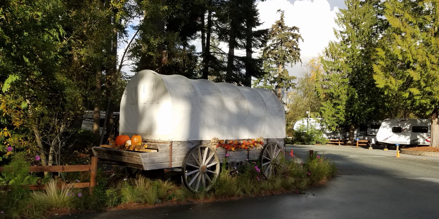 The signature covered wagon at Pioneer Trails RV Resort, framed by evergreens